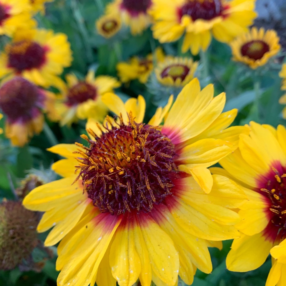 Meet your Posher, Lynn